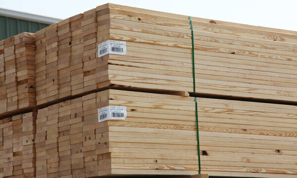 Pine Edged Lumber AB Grade